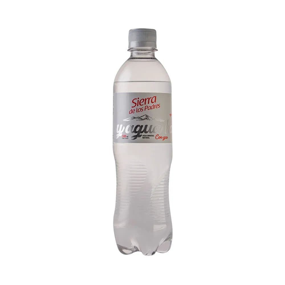 Agua Mineral con gas 500 ml.