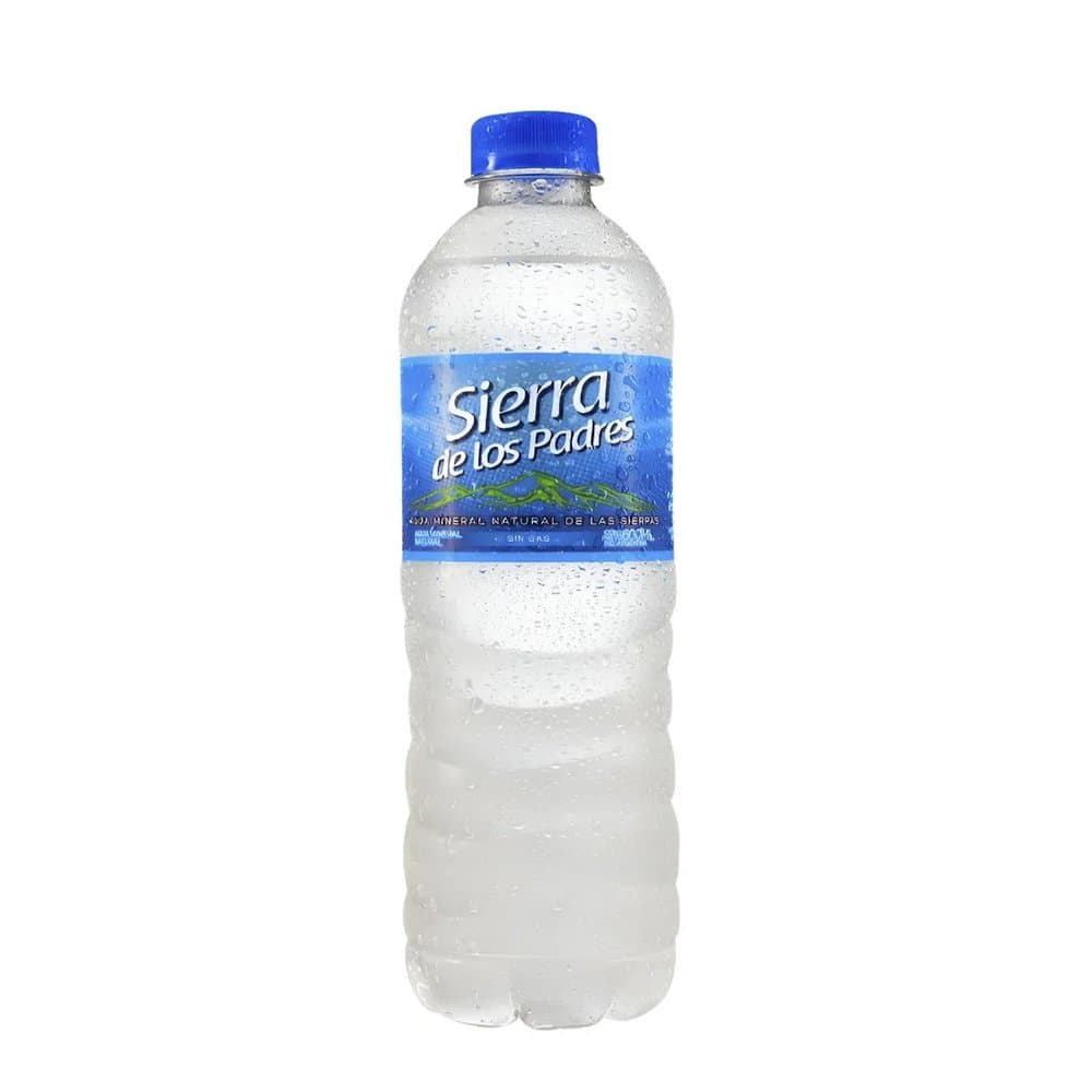 Agua Mineral sin gas 500 ml.